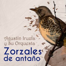 Album cover of Zorzales de Antaño / Agustin Iruzta y Su Orquesta