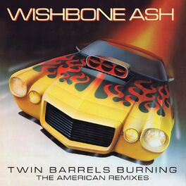 Album cover of Twin Barrels Burning: The American Remixes