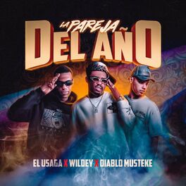 Album cover of La Pareja Del Año (feat. Wildey & El Usaga)