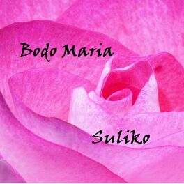 Album cover of Suliko