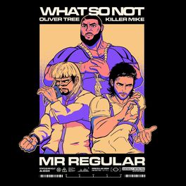 Album cover of Mr Regular