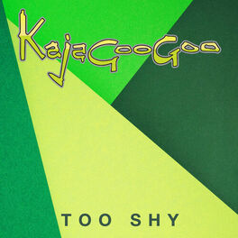 Album cover of Too Shy