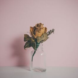 Album cover of Belong