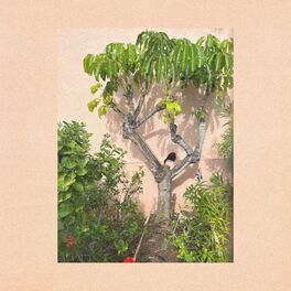 Album cover of How to Plan a Vacation