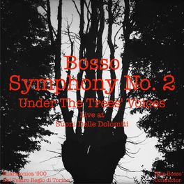 Album cover of Symphony No.2 