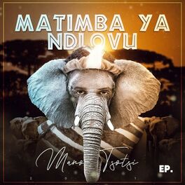 Album cover of Matimba Ya Ndlovu