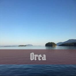 Album cover of Orca