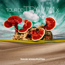 Album cover of Tour De Traum X