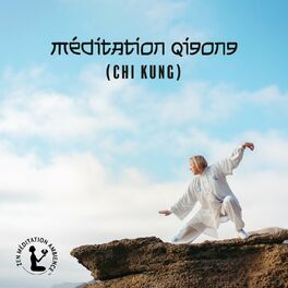 Album cover of Méditation qigong (Chi Kung): Le système de guérison dans la médecine traditionnelle chinoise, L'énergie vitale,Aapprendre à recon