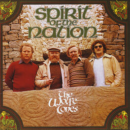 Album cover of Spirit of the Nation