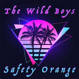 Album cover of The Wild Boys