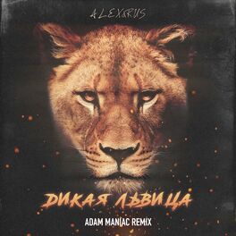 Album cover of Дикая львица (Adam Maniac Remix)