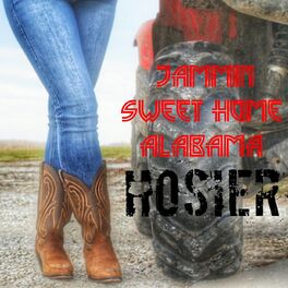 Album cover of Jammin Sweet Home Alabama