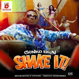 Album cover of Shake It