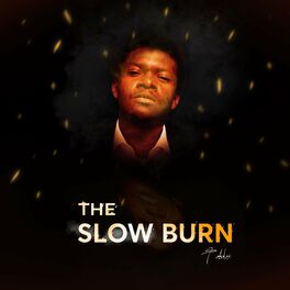 Album cover of The Slow Burn
