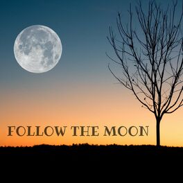 Album cover of Follow the Moon