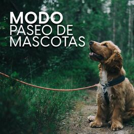 Album cover of Modo paseo de mascotas