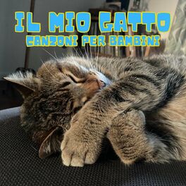 Album cover of Il mio gatto Canzoni per bambini