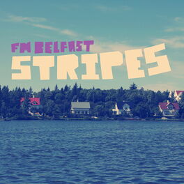 Album cover of Stripes