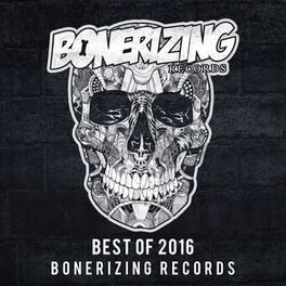 Album cover of Best Of 2016: Bonerizing Records
