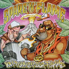 Album cover of Vom Funken zur Flamme