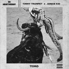 Album cover of Toro