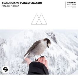 Album cover of I'm Like A Bird