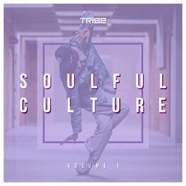 Album cover of Zepherin Saint presents Soulful Culture, Vol. 1