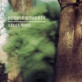 Album cover of Steel Bird