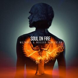 Album cover of Soul on Fire