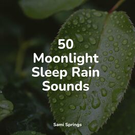 Album cover of 50 Moonlight Sleep Rain Sounds