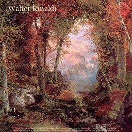 Album cover of Bach: Toccata and Fugue - Pachelbel: Canon in D - Beethoven: Fur Elise - Liszt: La Campanella - Chopin: Waltzes & Impromptu - Sind
