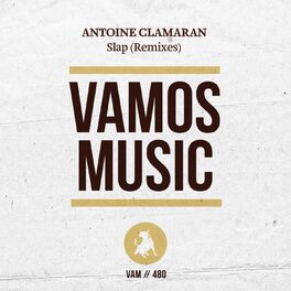 Album cover of Slap (Remixes)