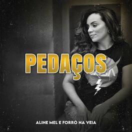 Album cover of Pedaços