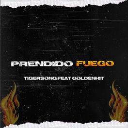 Album cover of Prendido Fuego