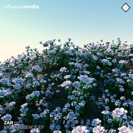 Album cover of Bad Influence EP