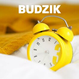 Album cover of Budzik
