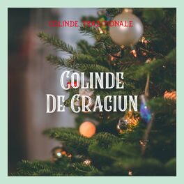 Album cover of Colinde Traditionale - Colinde De Craciun