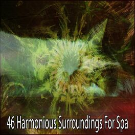 Album cover of 46 Harmonious Surroundings for Spa
