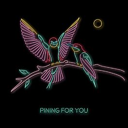Album cover of PINING FOR YOU