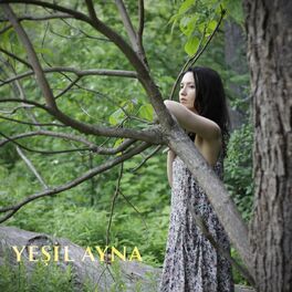 Album cover of Yesil Ayna