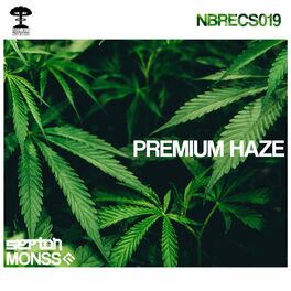 Album cover of Premium Haze
