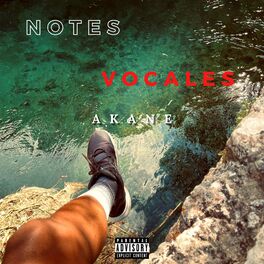 Album cover of NOTES VOCALES