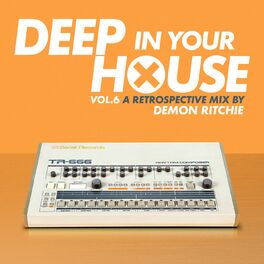 Album cover of Deep in Your House, Vol. 6 - A Retrospective Mix by Demon Ritchie