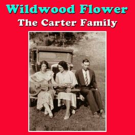 Album cover of Wildwood Flower