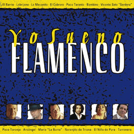 Album cover of Yo Sueno Flamenco