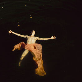 Album cover of The Destroyer - 1