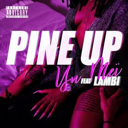 Album cover of Pine Up