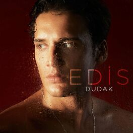 Album cover of Dudak
