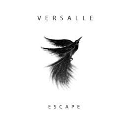 Album cover of Escape